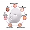 LED Light Therapy Facial Mask Beauty Device